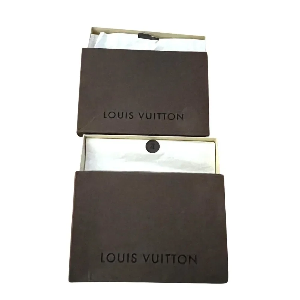 Louis Vuitton brand louis